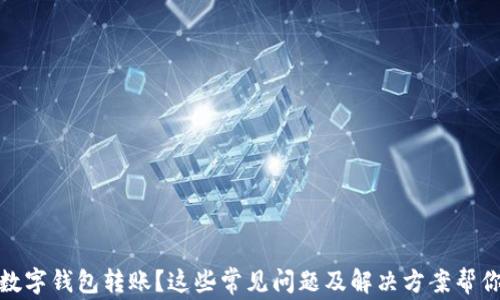 
沒有收到數(shù)字錢包轉賬？這些常見問題及解決方案幫你找回資金