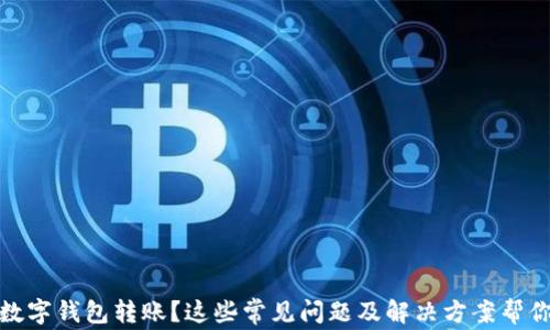 
沒有收到數(shù)字錢包轉賬？這些常見問題及解決方案幫你找回資金