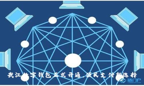武漢數(shù)字錢包正式開通，便民支付新選擇