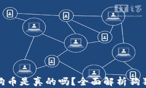 
小狐錢包存狗狗幣是真的嗎？全面解析狗狗幣存儲(chǔ)安全性