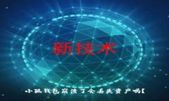 小狐錢包崩潰了會(huì)丟失資