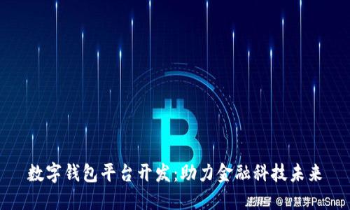 數(shù)字錢(qián)包平臺(tái)開(kāi)發(fā)：助力金融科技未來(lái)