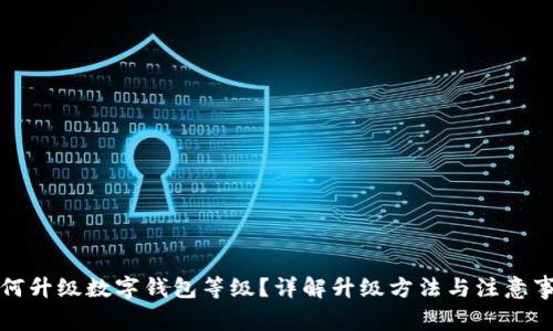 如何升級數(shù)字錢包等級？詳解升級方法與注意事項(xiàng)