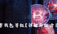 如何升級數(shù)字錢包等級？