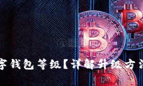 如何升級數(shù)字錢包等級？詳解升級方法與注意事項(xiàng)