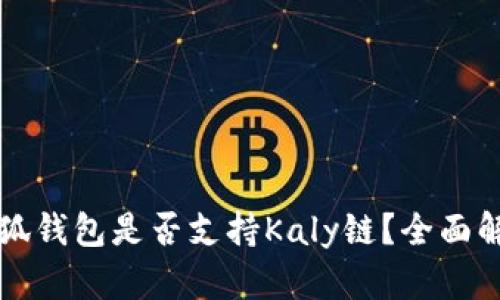小狐錢包是否支持Kaly鏈？全面解析