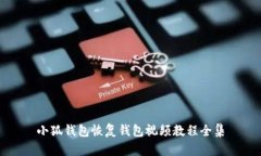 小狐錢包恢復錢包視頻教