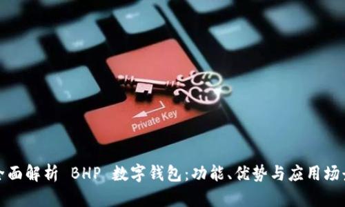 全面解析 BHP 數(shù)字錢包：功能、優(yōu)勢與應(yīng)用場景