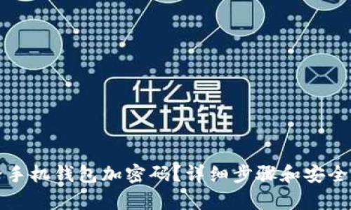 如何給手機(jī)錢包加密碼？詳細(xì)步驟和安全性分析