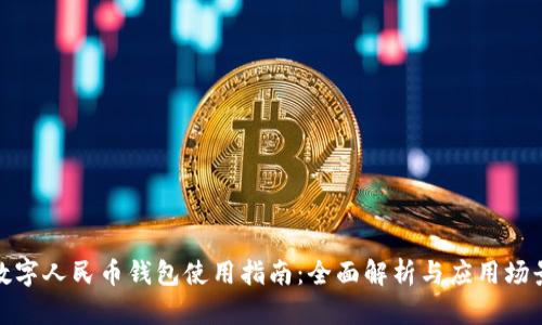數(shù)字人民幣錢(qián)包使用指南：全面解析與應(yīng)用場(chǎng)景