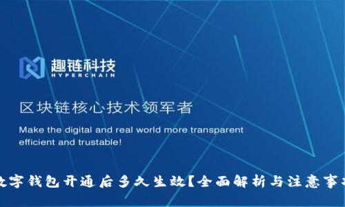 數(shù)字錢包開通后多久生效？全面解析與注意事項