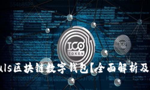 什么是Puls區(qū)塊鏈數(shù)字錢包？全面解析及應(yīng)用前景