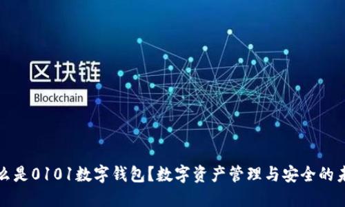 什么是0101數(shù)字錢包？數(shù)字資產(chǎn)管理與安全的未來