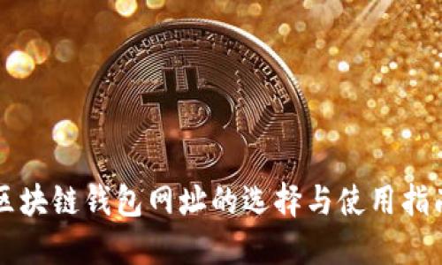 區(qū)塊鏈錢(qián)包網(wǎng)址的選擇與使用指南