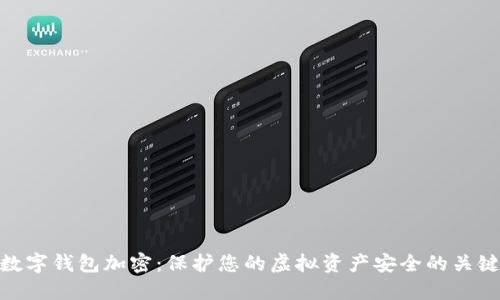 數(shù)字錢包加密：保護您的虛擬資產安全的關鍵