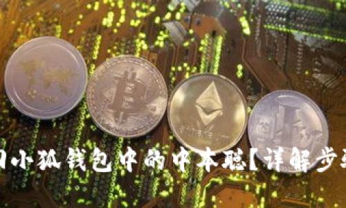 如何找回小狐錢包中的中本聰？詳解步驟與技巧