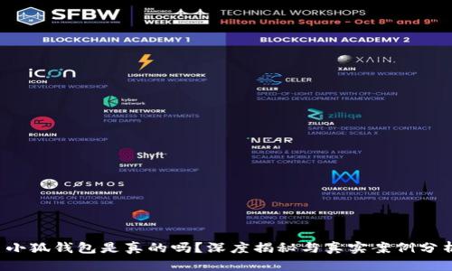  小狐錢包是真的嗎？深度揭秘與真實(shí)案例分析