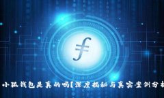  小狐錢包是真的嗎？深度