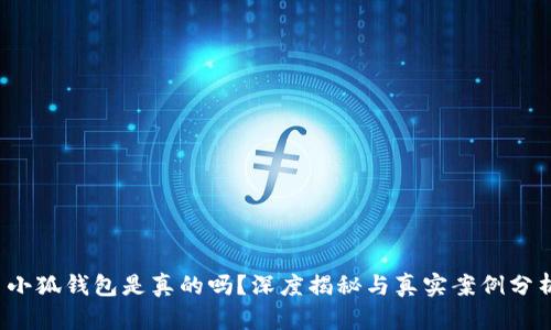  小狐錢包是真的嗎？深度揭秘與真實(shí)案例分析