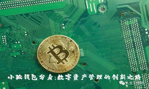 小狐錢(qián)包分身：數(shù)字資產(chǎn)管理的創(chuàng)新之路