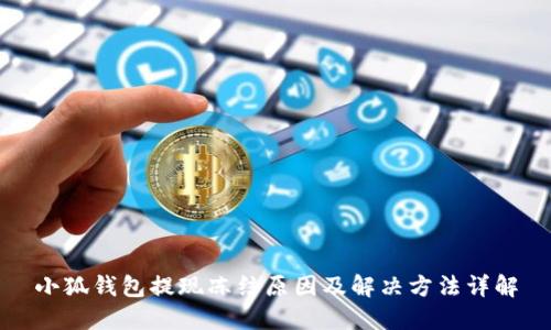 小狐錢(qián)包提現(xiàn)凍結(jié)原因及解決方法詳解