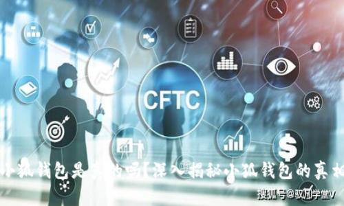 小狐錢包是真的嗎？深入揭秘小狐錢包的真相