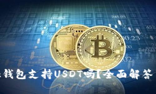 MetaMask錢包支持USDT嗎？全面解答與使用指南