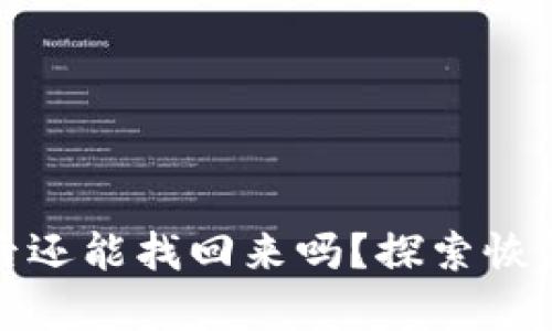 區(qū)塊鏈錢包被盜后還能找回來嗎？探索恢復(fù)途徑與預(yù)防措施