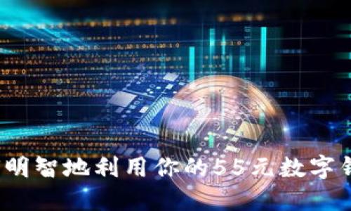 如何明智地利用你的55元數(shù)字錢包？