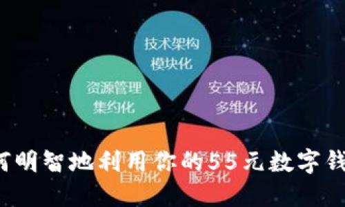 如何明智地利用你的55元數(shù)字錢包？