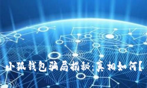 小狐錢包騙局揭秘：真相如何？