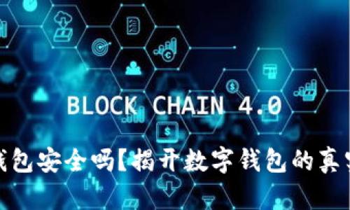 小狐錢包安全嗎？揭開數(shù)字錢包的真實面紗