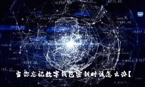 當(dāng)你忘記數(shù)字錢包密鑰時該怎么辦？