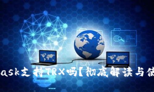 MetaMask支持TRX嗎？徹底解讀與使用指南