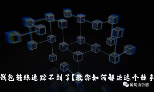 數(shù)字錢包轉(zhuǎn)賬追蹤不到了？教你如何解決這個(gè)棘手問題
