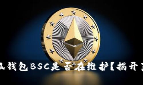 小狐錢包BSC是否在維護(hù)？揭開(kāi)真相