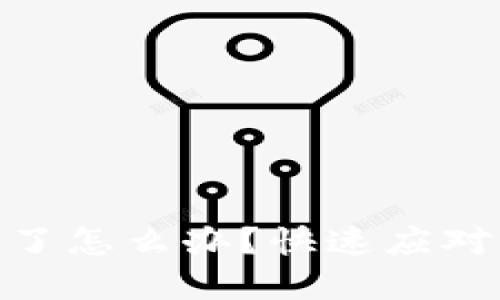 數(shù)字錢包掉了怎么辦？快速應(yīng)對(duì)與補(bǔ)救措施