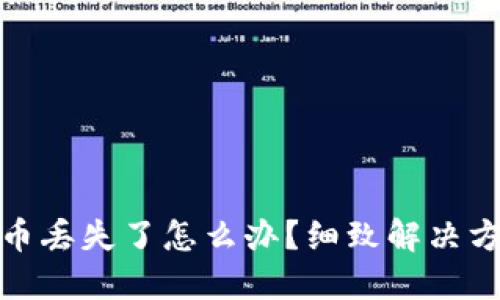 小狐錢包幣丟失了怎么辦？細致解決方案大揭秘