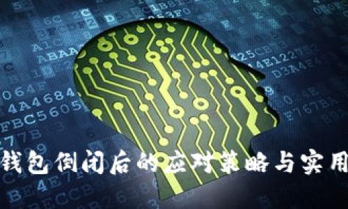 小狐錢包倒閉后的應(yīng)對策略與實(shí)用建議