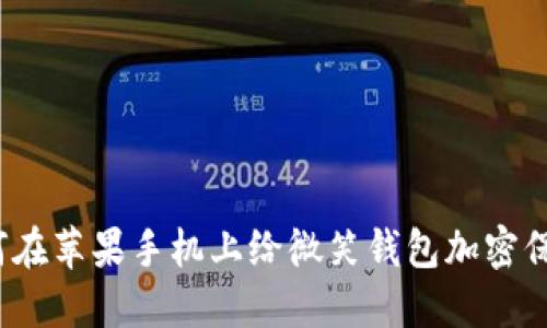 如何在蘋果手機上給微笑錢包加密保護？