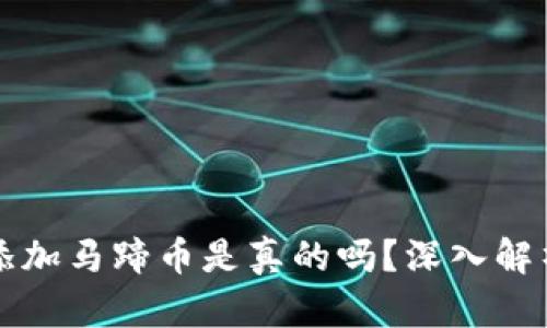 小狐錢包添加馬蹄幣是真的嗎？深入解析背后真相