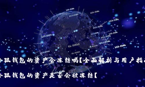小狐錢(qián)包的資產(chǎn)會(huì)凍結(jié)嗎？全面解析與用戶(hù)指南

小狐錢(qián)包的資產(chǎn)是否會(huì)被凍結(jié)？