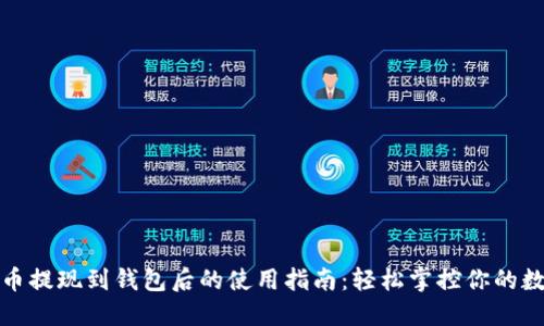 加密貨幣提現(xiàn)到錢包后的使用指南：輕松掌控你的數字資產