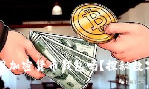 國內(nèi)可以使用加密貨幣錢包嗎？探秘數(shù)字資產(chǎn)的未來