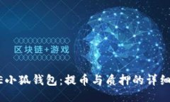CORE小狐錢包：提幣與質押