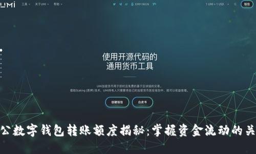 對(duì)公數(shù)字錢(qián)包轉(zhuǎn)賬額度揭秘：掌握資金流動(dòng)的關(guān)鍵