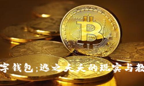 數(shù)字錢包：逃之夭夭的現(xiàn)實(shí)與教訓(xùn)