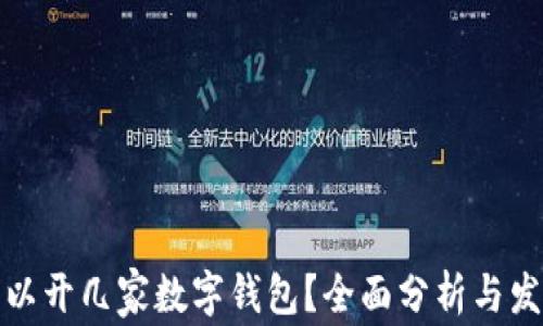 
個(gè)人可以開幾家數(shù)字錢包？全面分析與發(fā)展趨勢