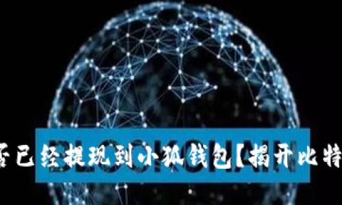 : 中本聰是否已經(jīng)提現(xiàn)到小狐錢包？揭開比特幣神秘面紗！