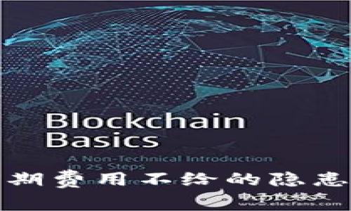 數(shù)字錢包前期費(fèi)用不給的隱患與解決方案